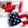 What Is A Non-Resident Importer (NRI)?